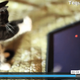 Illustration for article titled Watch Vimeo Videos on iPad Using New HTML5 Universal Player